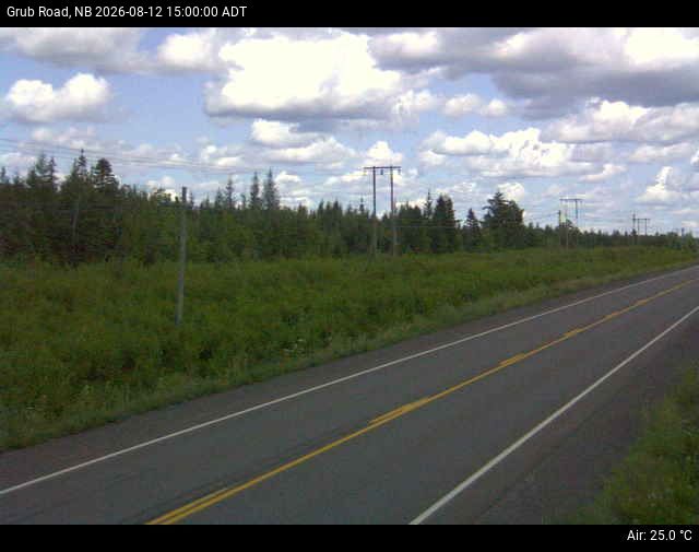 Web Cam image of Grub Road (NB Highway 10)